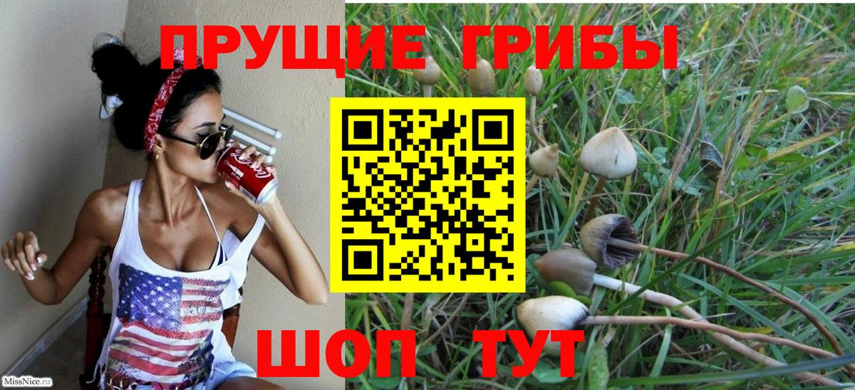 Псилоцибиновые грибы GOLDEN TEACHER  Вход с VPN  Улан-Удэ  Галлюциногенные грибы GOLDEN TEACHER 